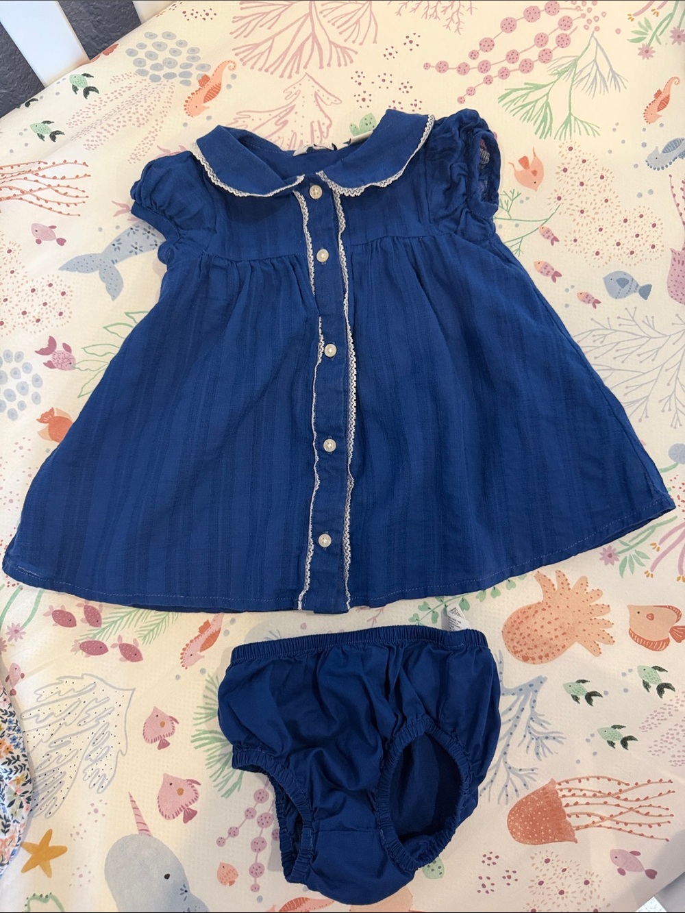Janie and Jack Navy Blue Cotton Dress with Bloomers - Picture 1 of 1